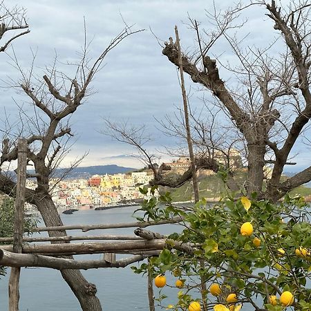 Vila La Casa Dei Sogni Procida Exteriér fotografie