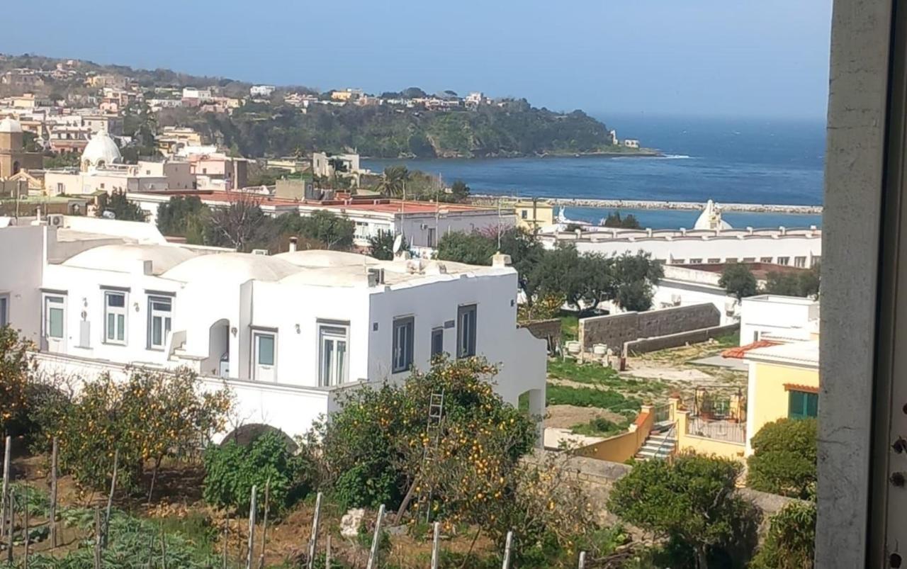 Vila La Casa Dei Sogni Procida Exteriér fotografie