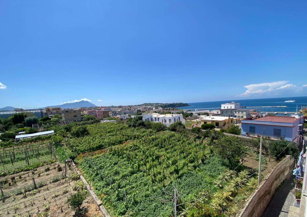 Vila La Casa Dei Sogni Procida Exteriér fotografie