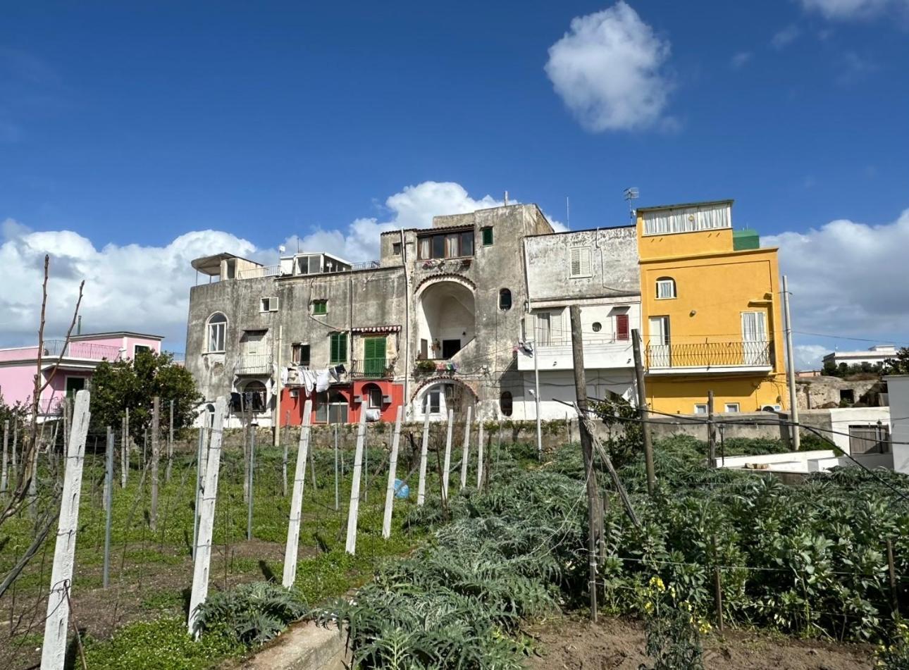 Vila La Casa Dei Sogni Procida Exteriér fotografie