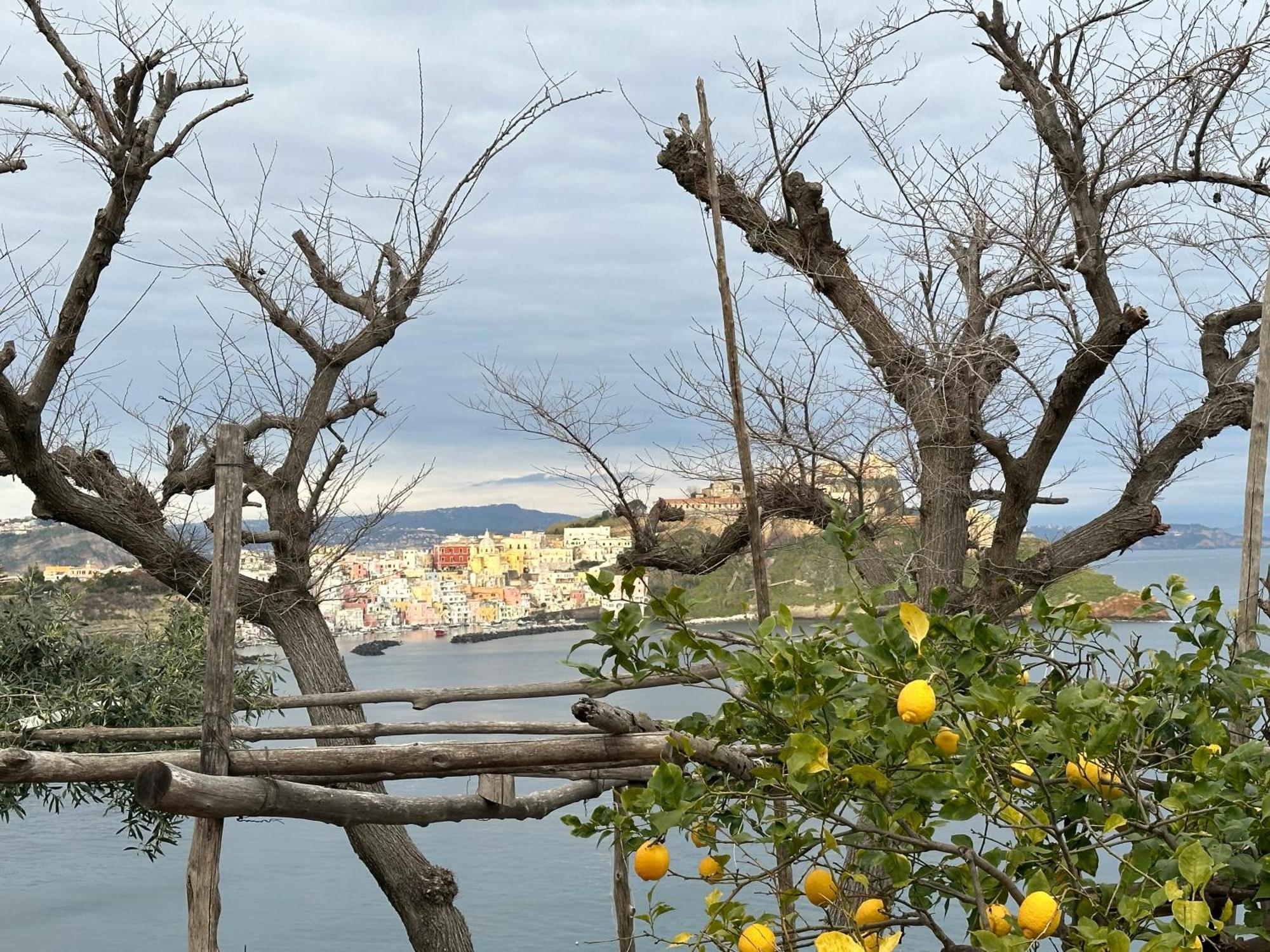 Vila La Casa Dei Sogni Procida Exteriér fotografie